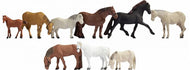 NOC-15761 NOCH Assorted horses