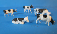 BP149 Cows