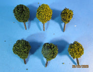 BP383 Shrub Bushes, pack of 6