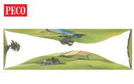 SK-14 PECO Backscene Large Conversion Landscape