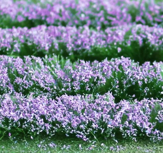 TA-00712 TASMA SCENICS Lavender - 25mm x 155mm sheet