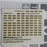 F207 FMR TRANSFERS Executive livery TOPS coach numbersets