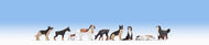 NOC-15717 NOCH  Dogs assorted breeds & poses set 1