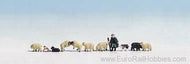 NOC-15750 NOCH Shepherd, sheep dog, boy and 8 sheep